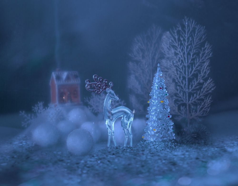 Фотография автора Шипунова Ирина