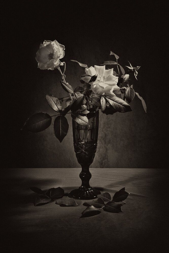 Photograph by Рут