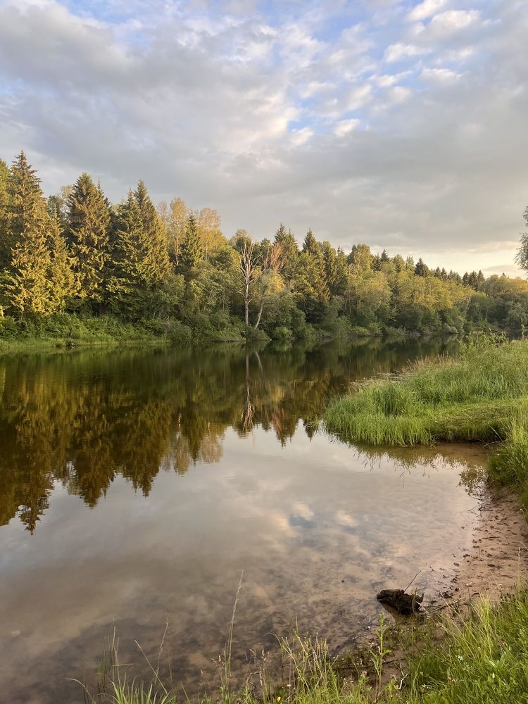 Photograph by Виктория Ляпина