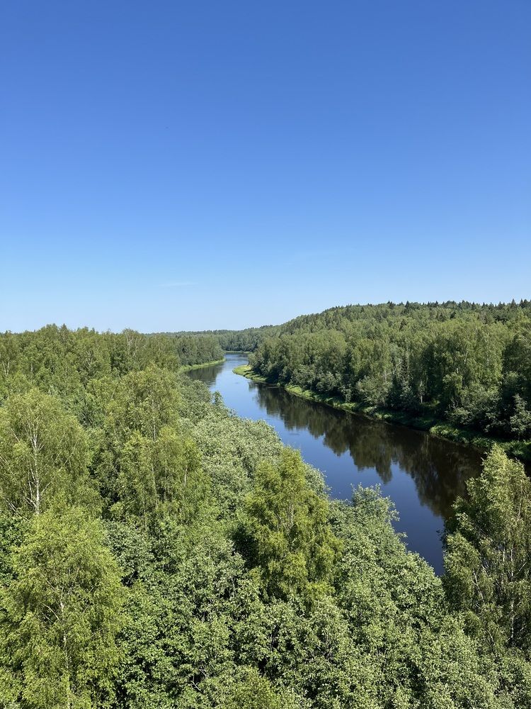 Фотография автора Виктория Ляпина