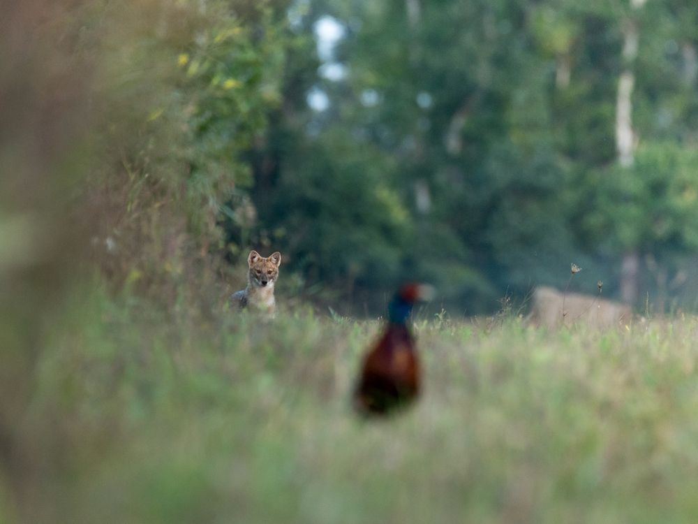 Photograph by Рамзан Давлетмирзаев