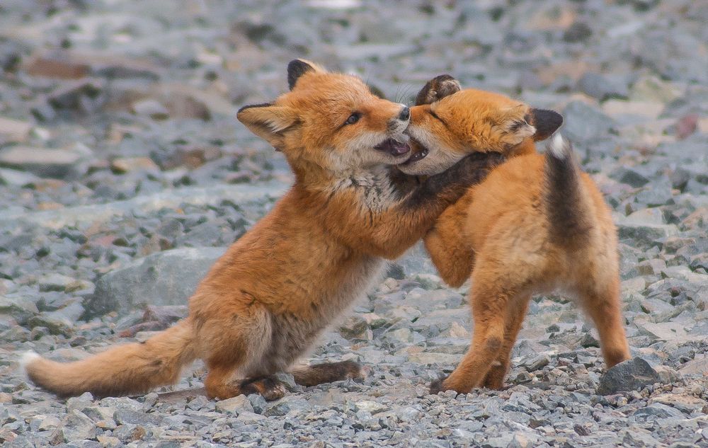 Photograph by Андрей Загребельный