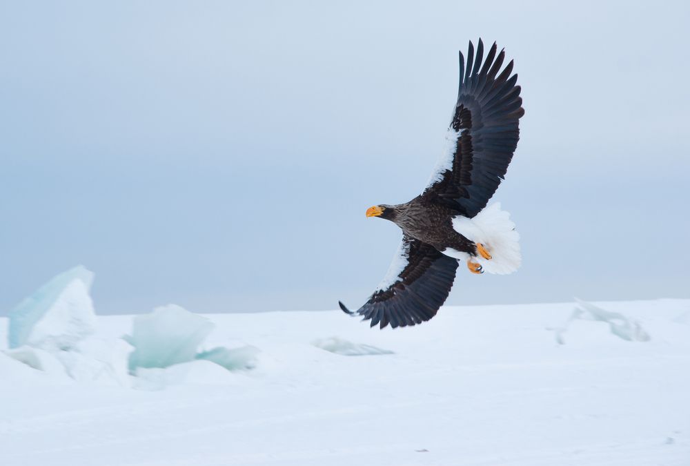 Photograph by Андрей Загребельный