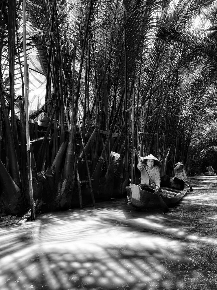 Photograph by Cuong Pham