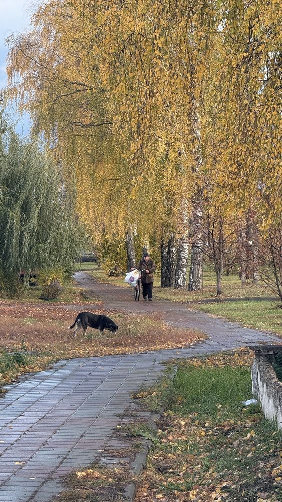 Photograph by Елена Гущина