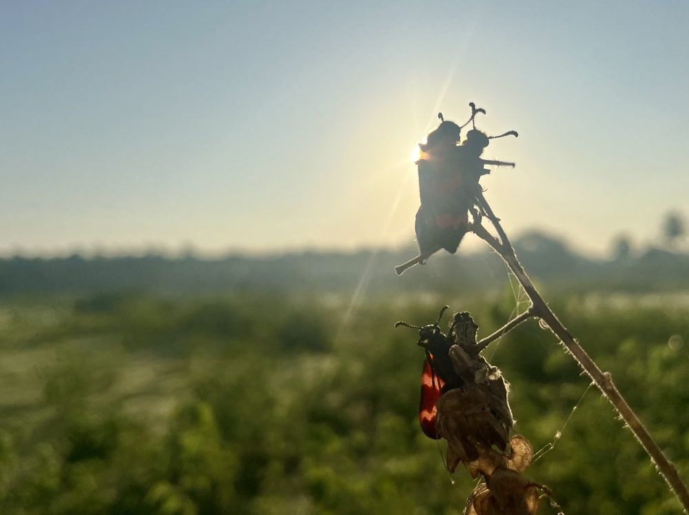 Photograph by Prabhu Viswanathan
