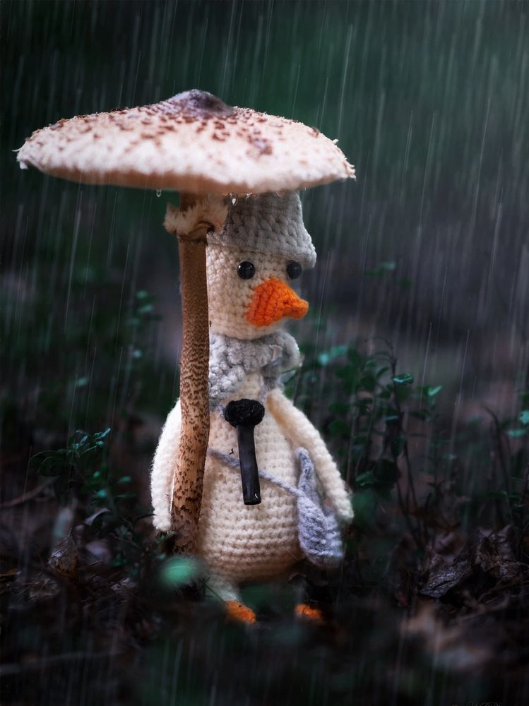 Фотография автора Nephotograph