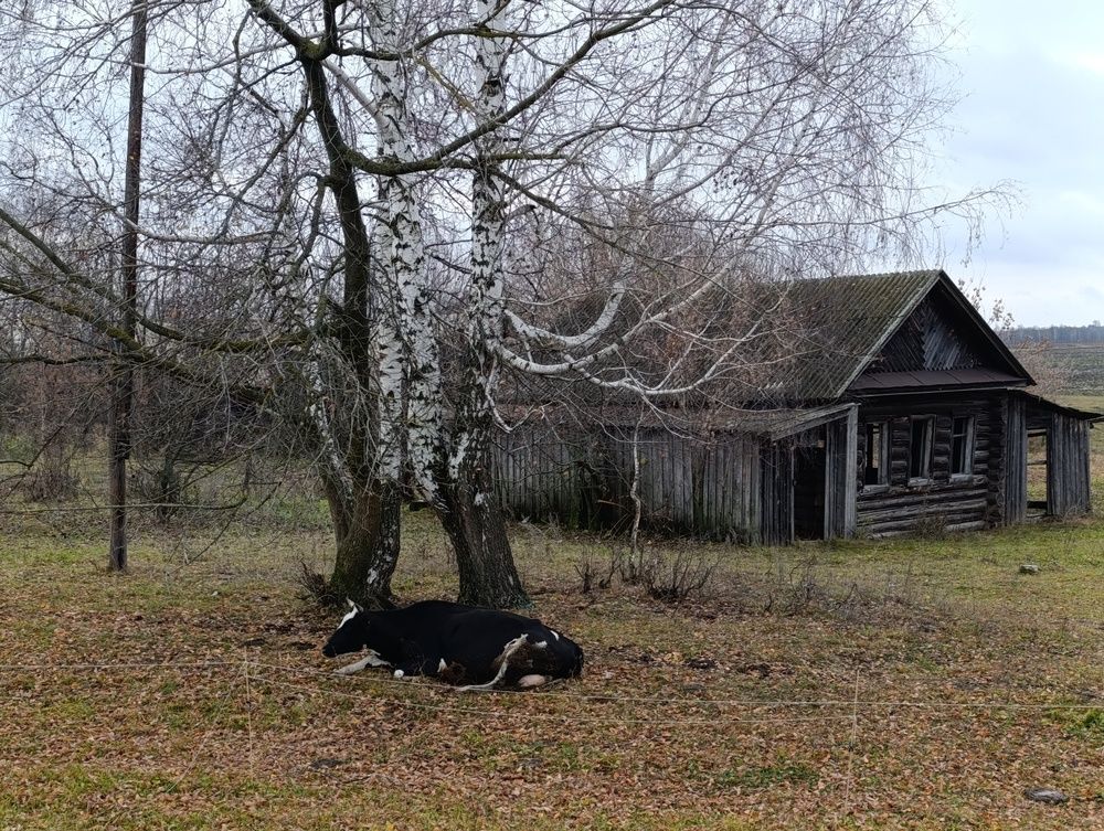 Photograph by Юрий Гордеев