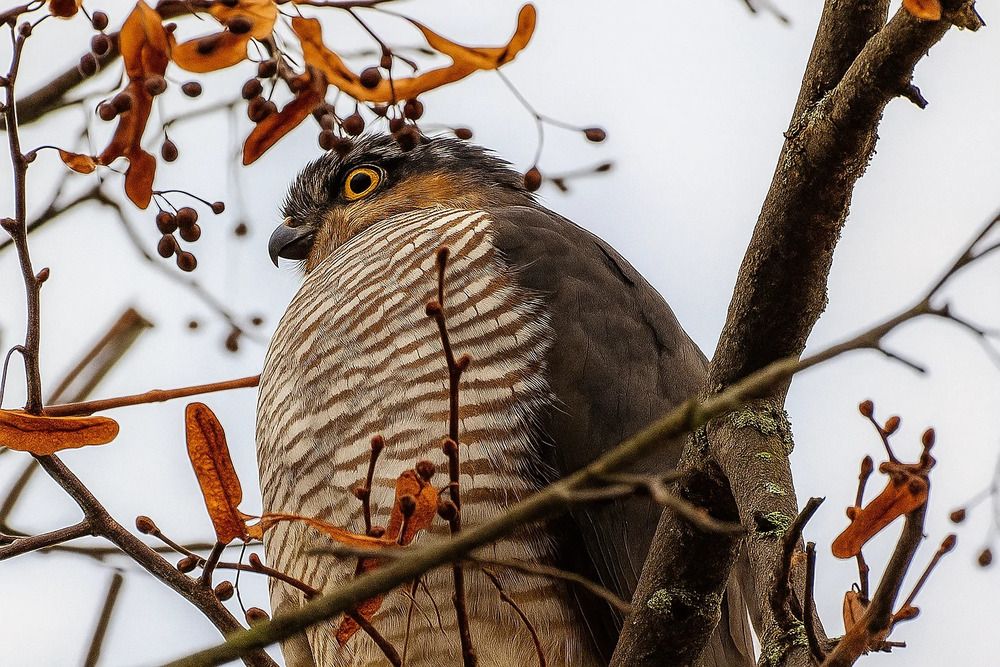 Photograph by Владимир Джерихов