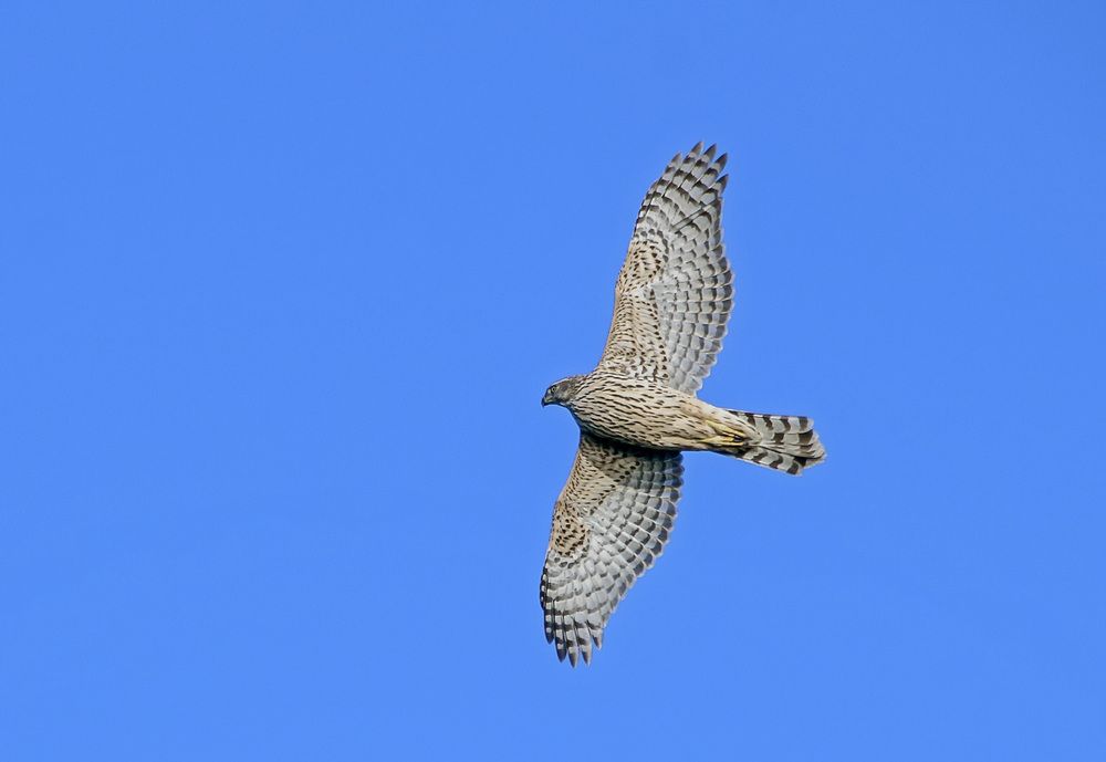 Фотография автора Александр