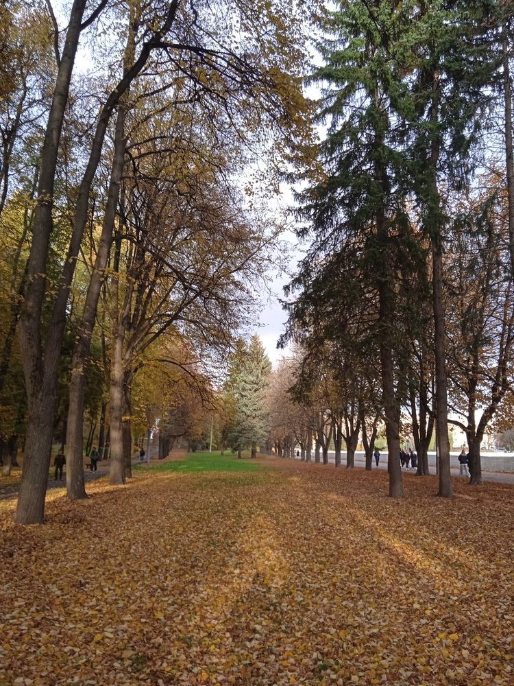 Photograph by Фёдор Викторович