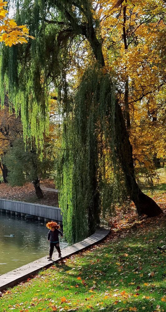 Photograph by Владимир Арбесман