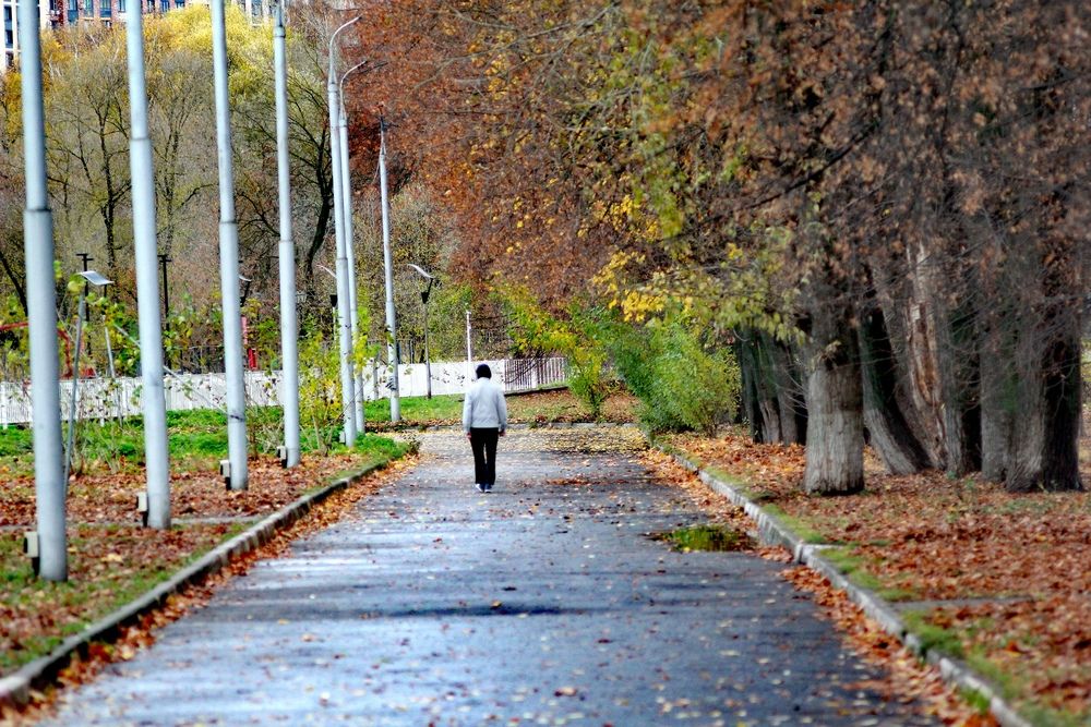 Photograph by Виталий Полозов