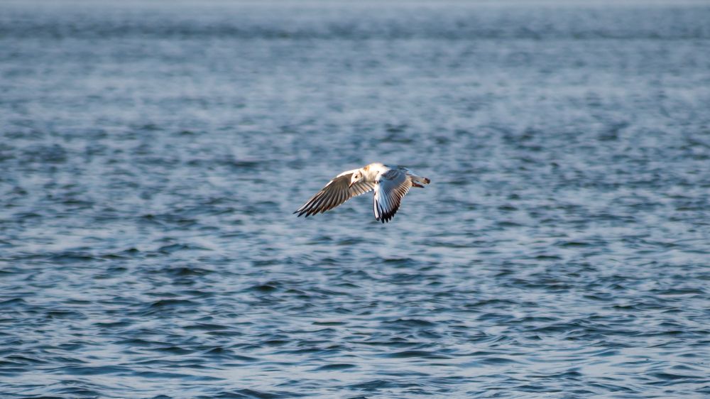 Photograph by Alina Orlova