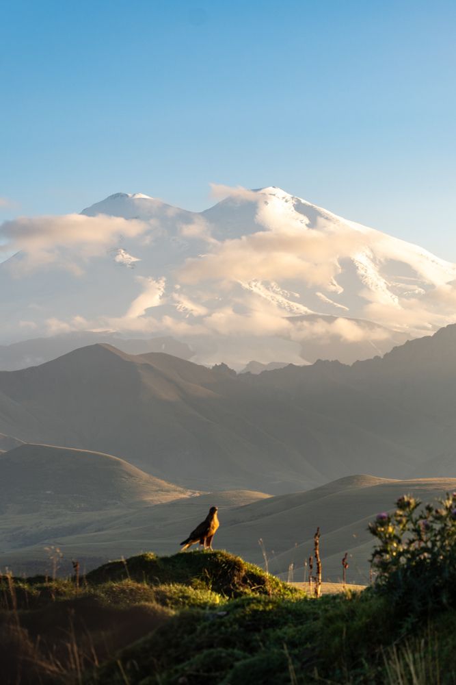 Photograph by Alina Orlova