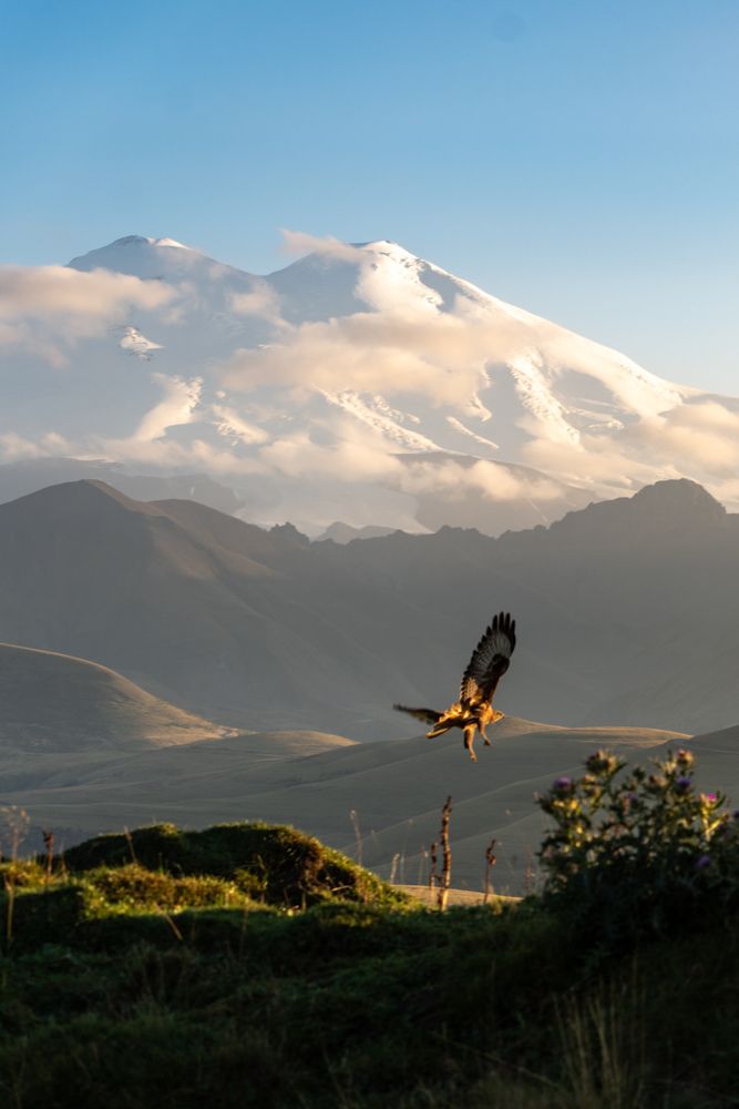 Photograph by Alina Orlova