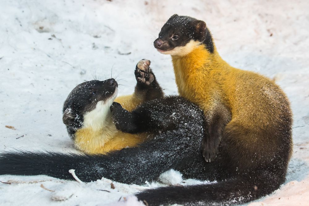 Photograph by Татьяна Гладкова