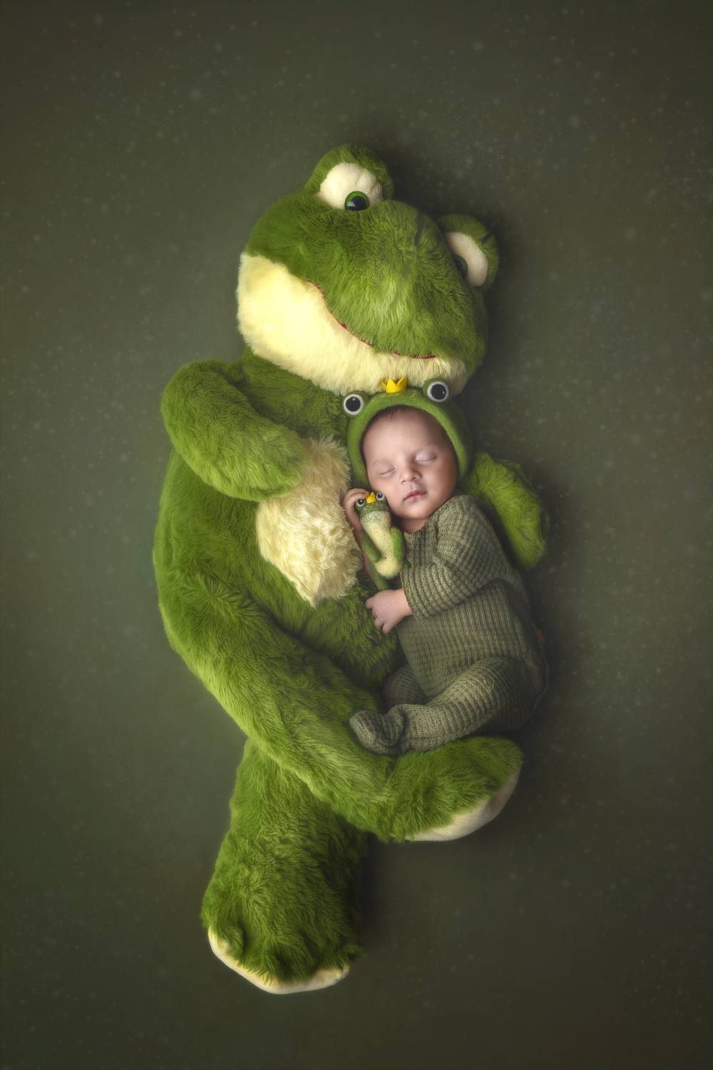 Фотография #12772636