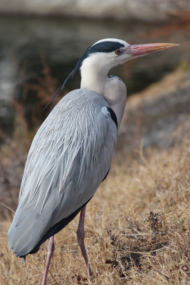 Photograph by Илья Смирнов