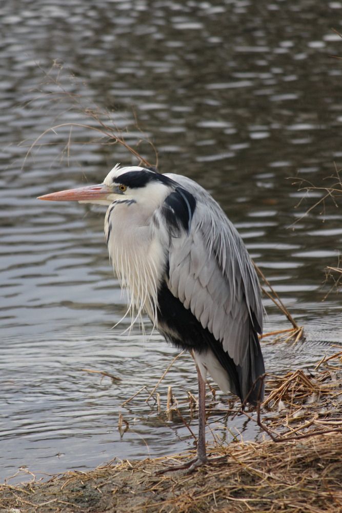 Photograph by Илья Смирнов