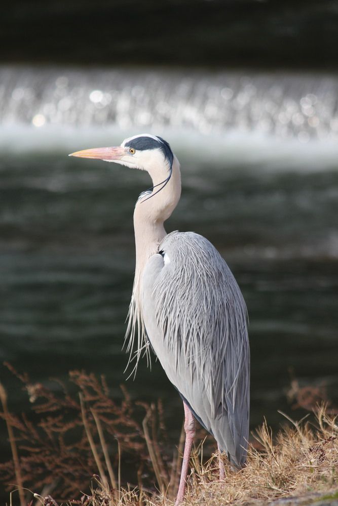 Photograph by Илья Смирнов