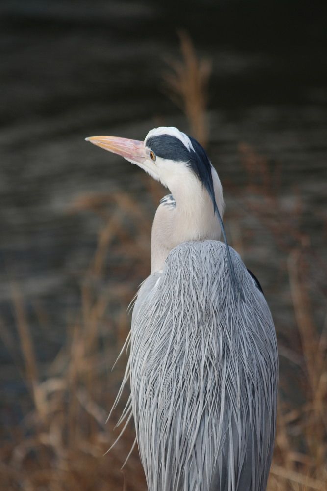 Photograph by Илья Смирнов