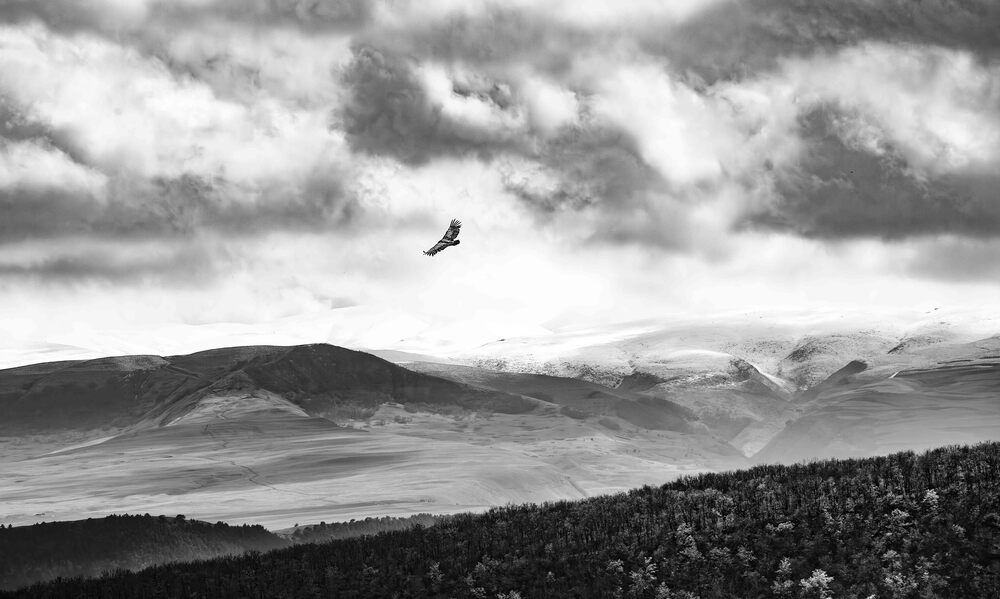 Photograph by Alexei Kriptozoy