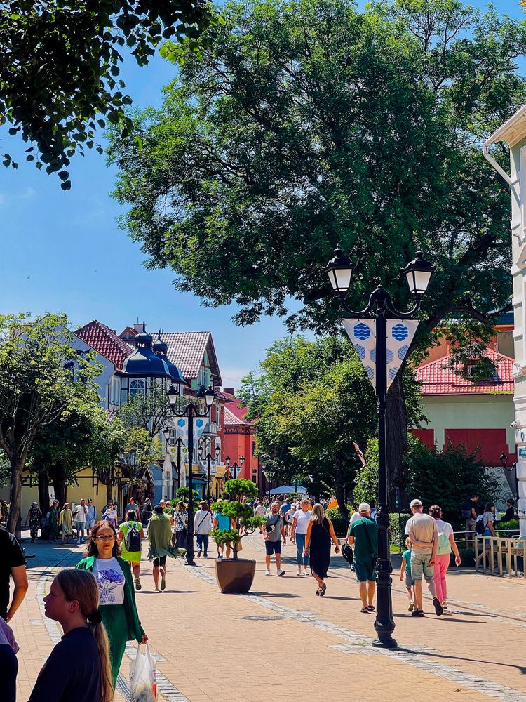 Фотография автора Елена Меньшикова