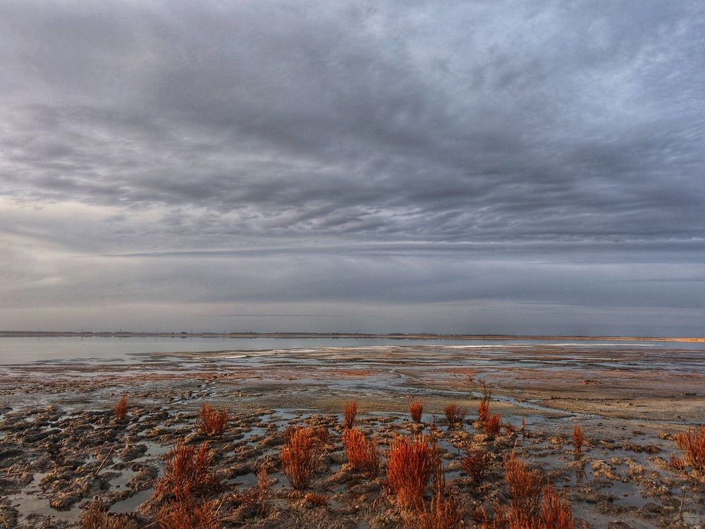 Photograph by Ксения Орлова