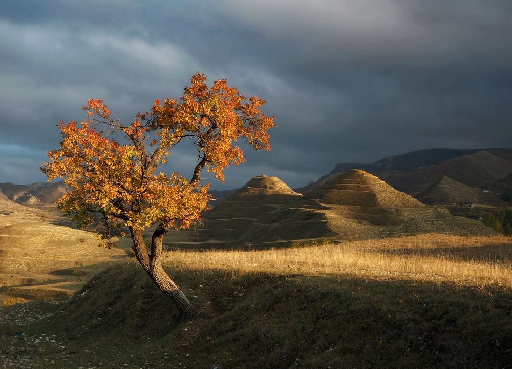 Фотография автора Яковлев Евгений