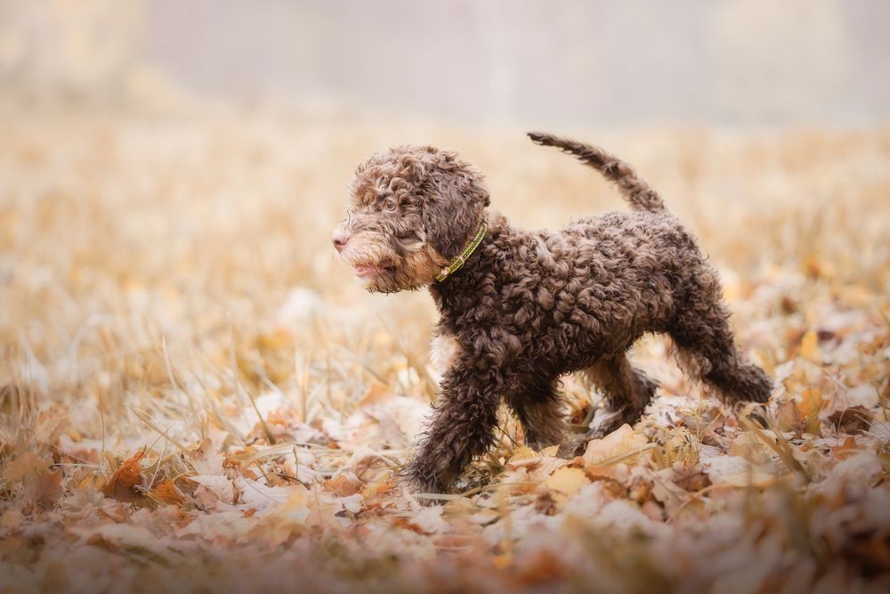 Photograph by Dmitry Ishniyazov