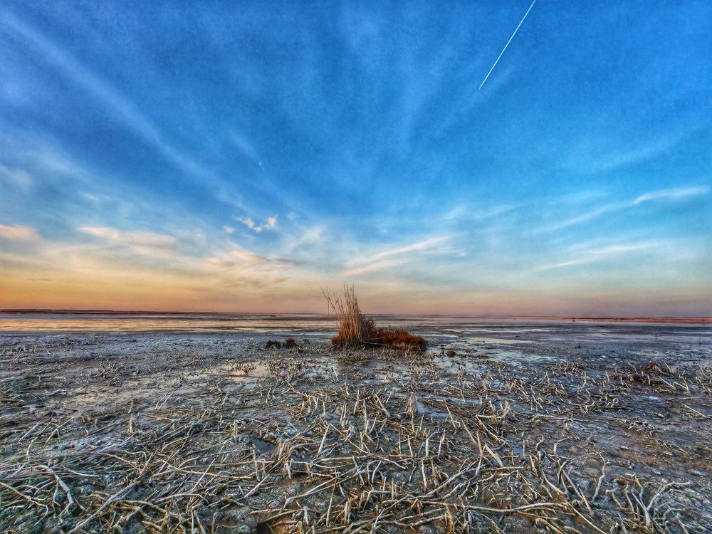 Photograph by Ксения Орлова