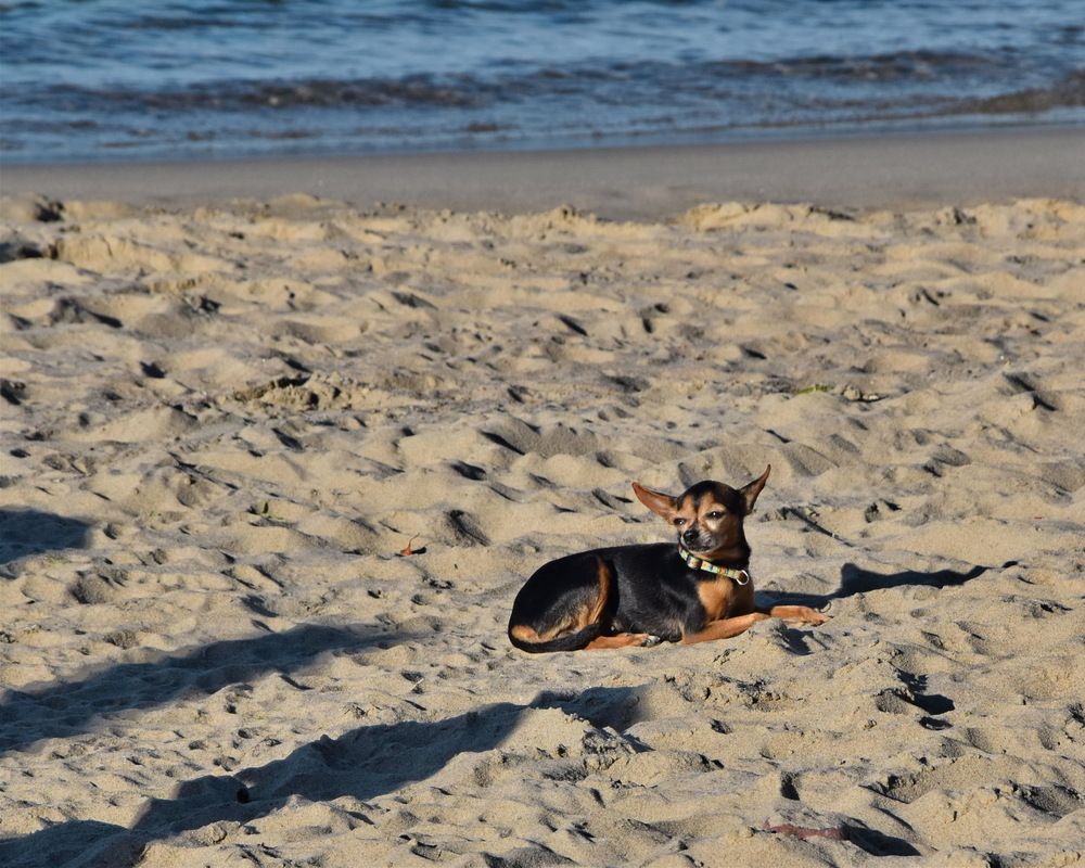 Курортница