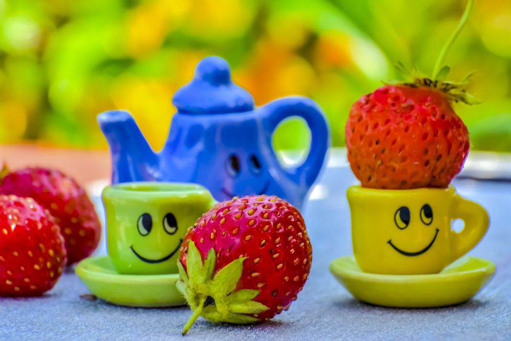 Photograph by Margarita