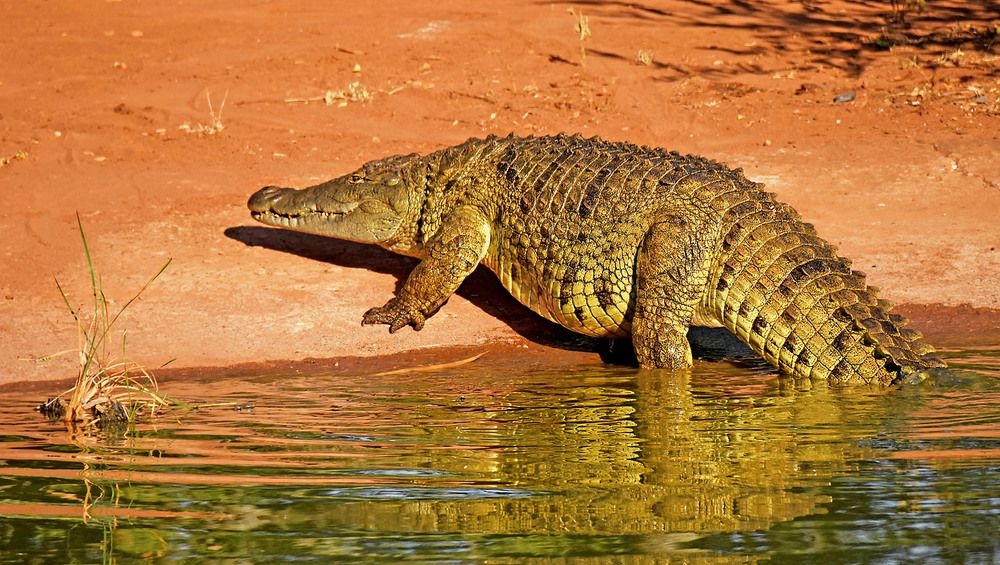 Photograph by Marjo Steffen