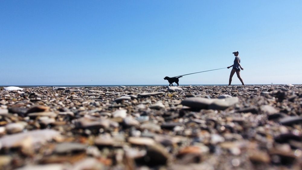 Photograph by Николай Коробко