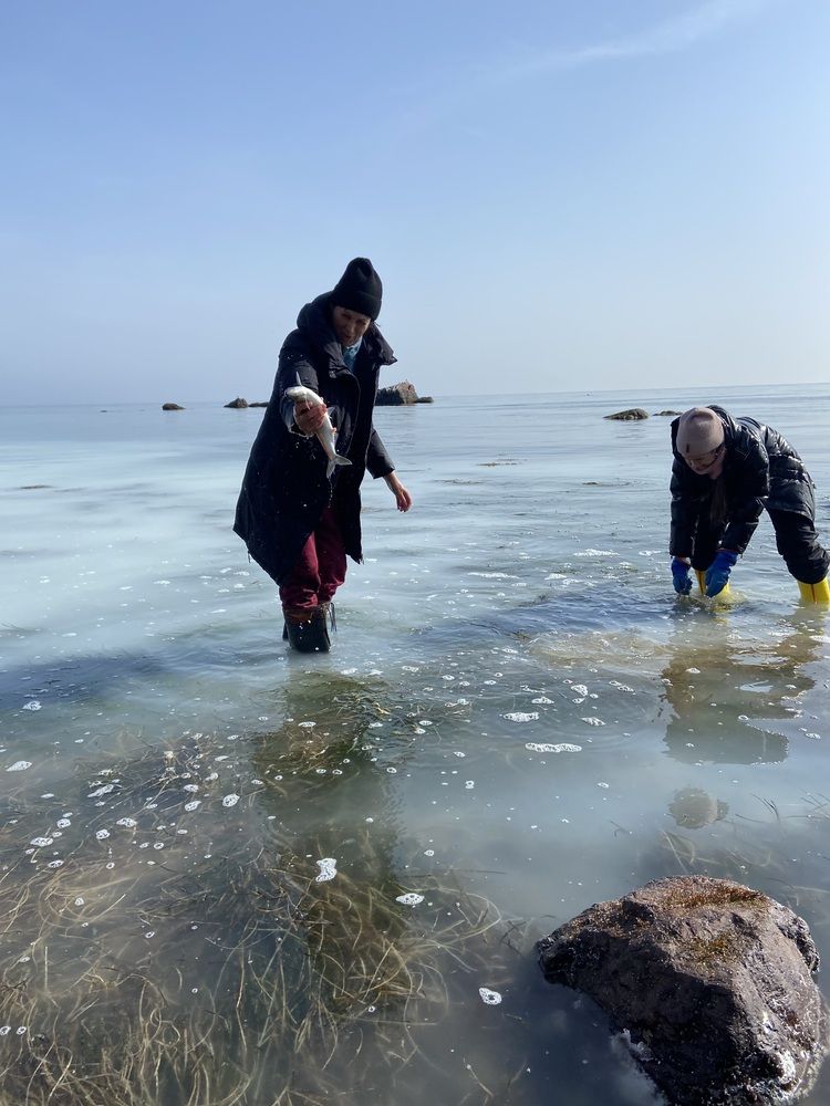 На селедку голыми руками