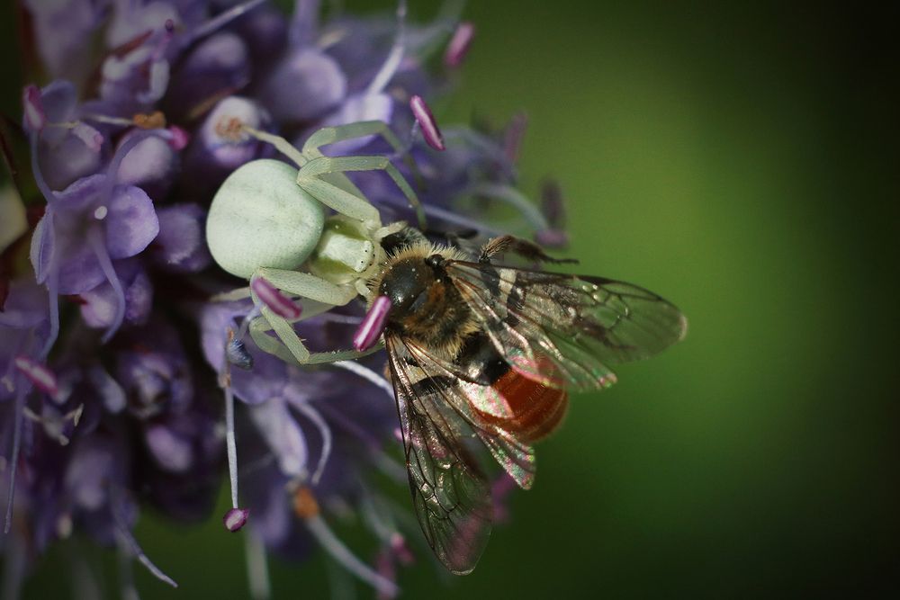 Photograph by Артем Гатин