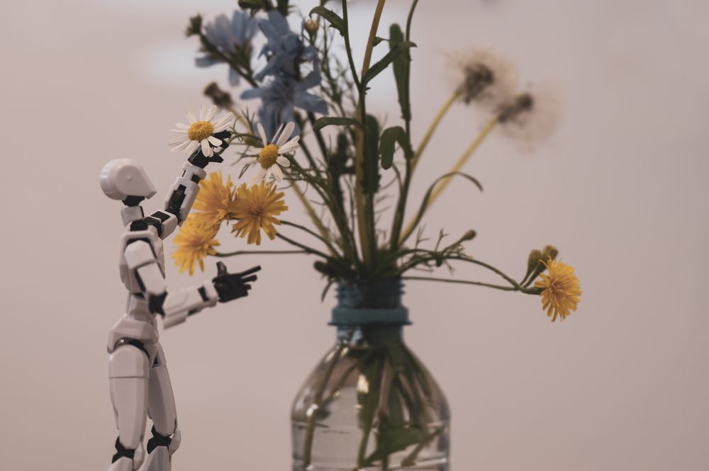 Photograph by Евгения Шулакова