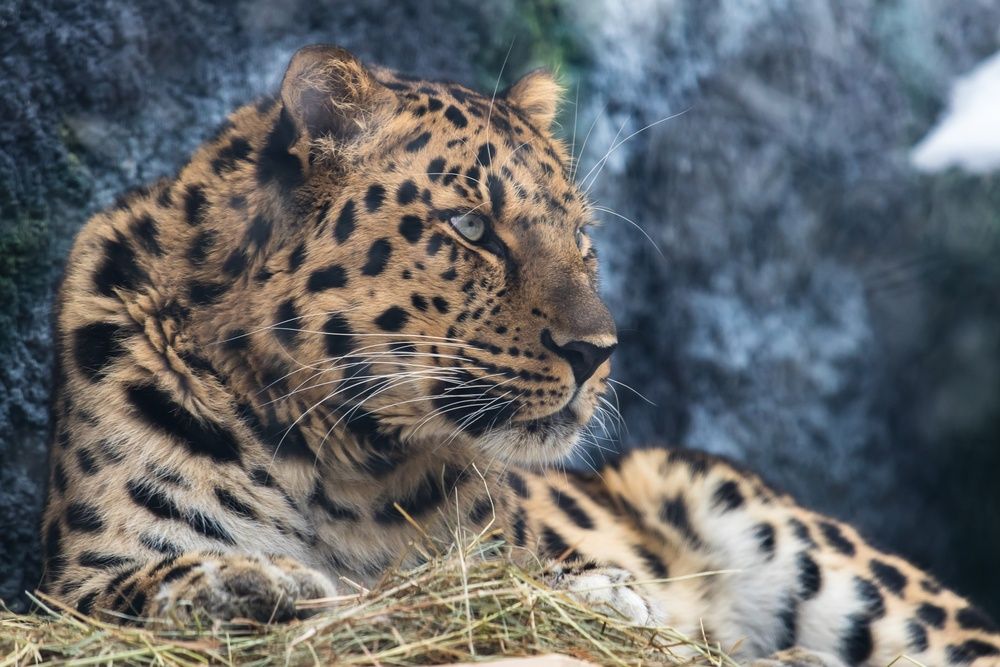 Photograph by Татьяна Гладкова