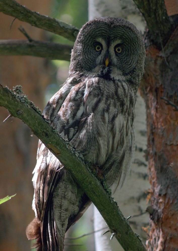 Photograph by Vladimir Iavorskii