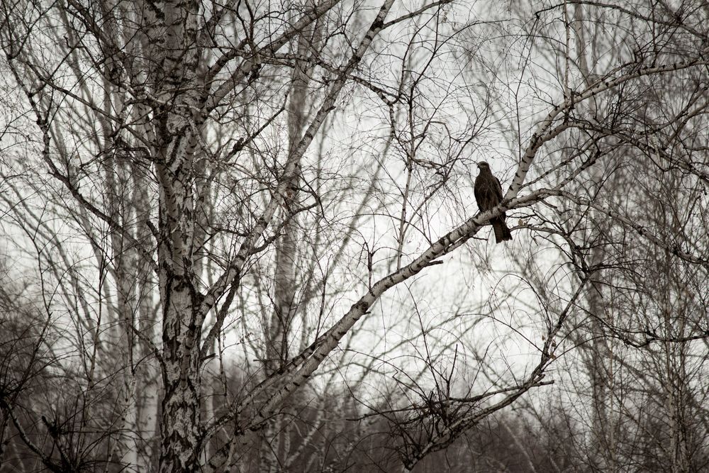 Photograph by Angelina