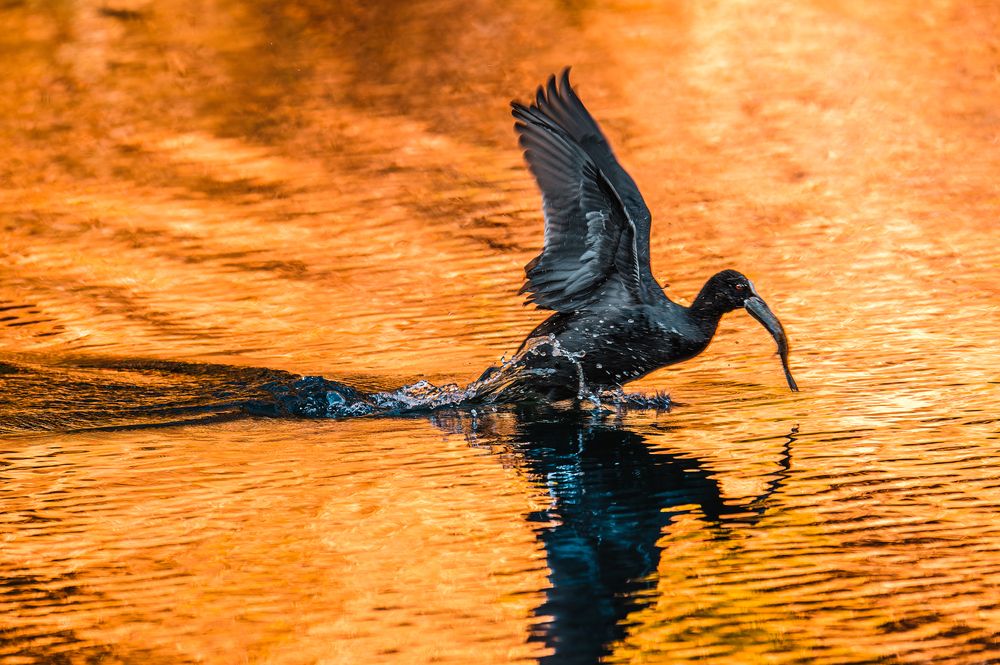 Фотография автора Uesan Aliace