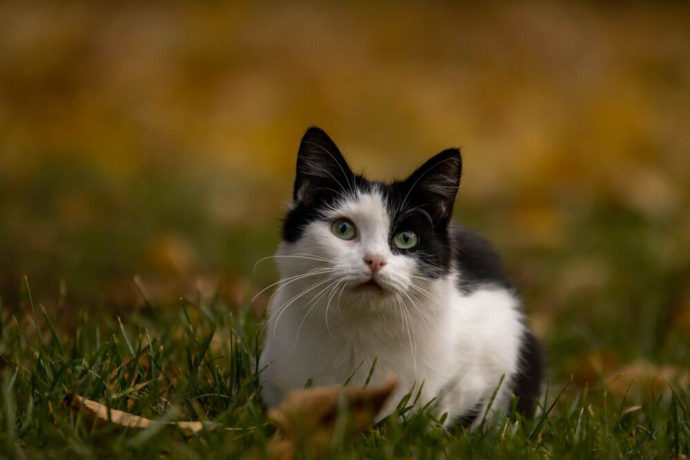 Photograph by Дарья