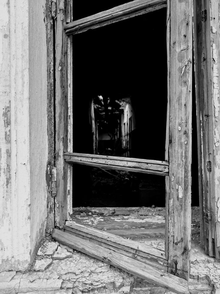 Photograph by Елена Терехова