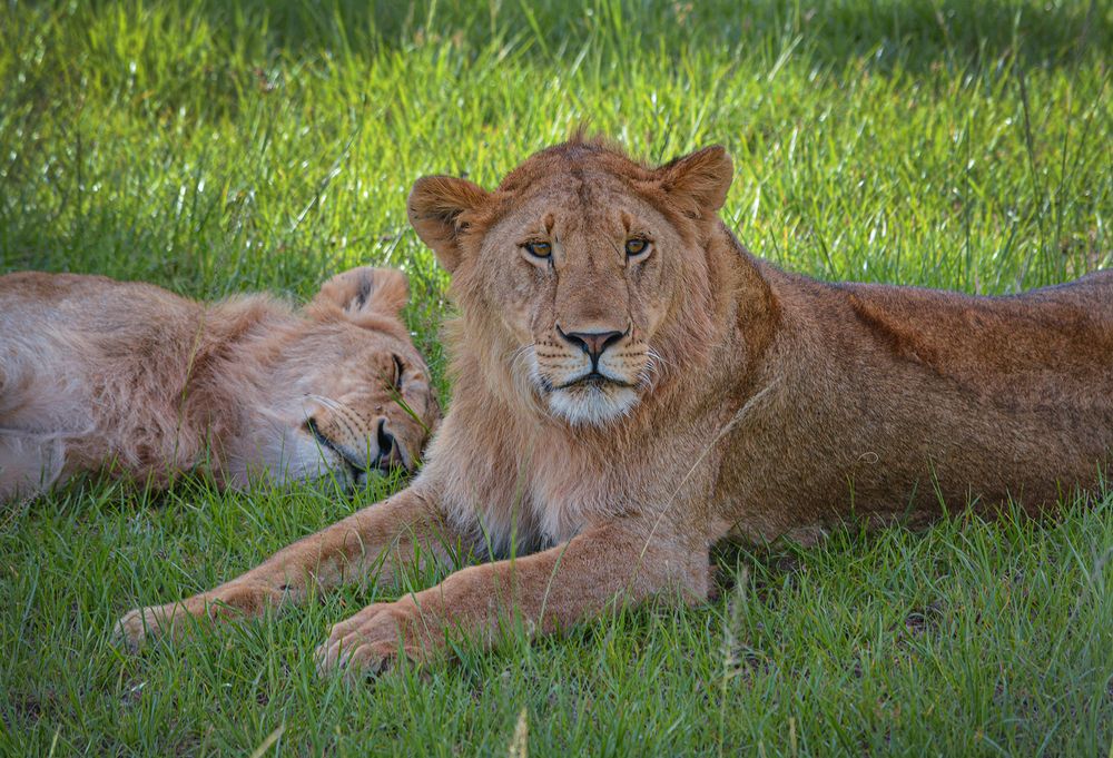 Photograph by Inna Ivanova