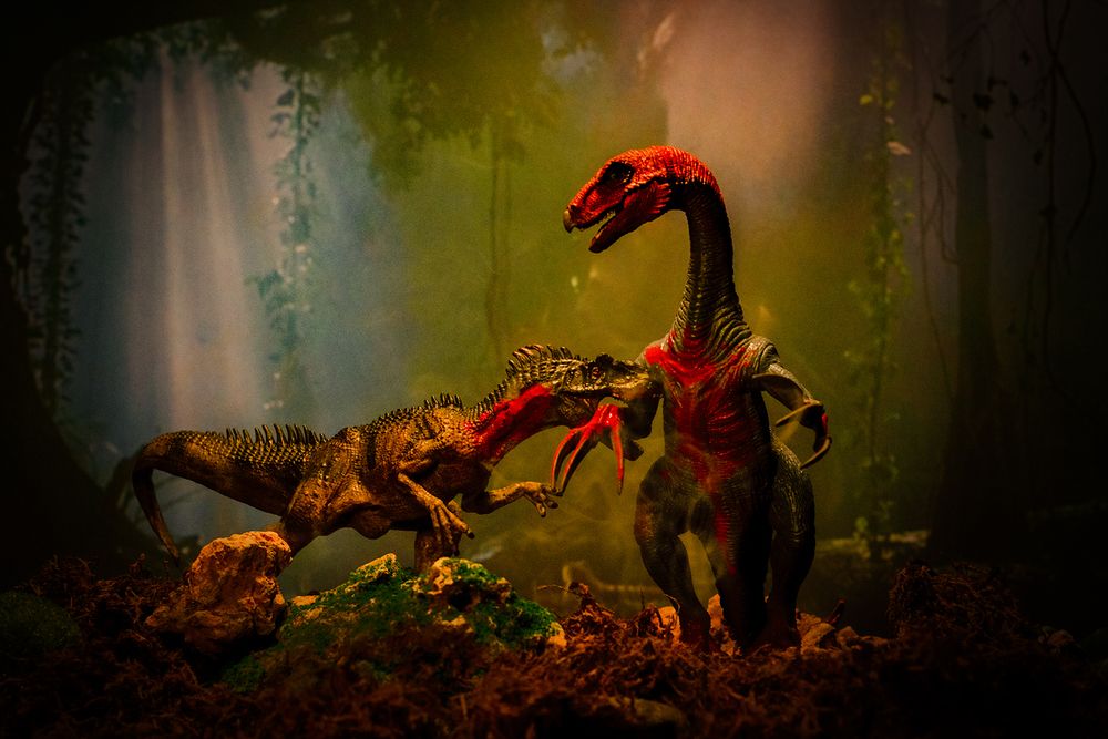 Photograph by PARTHA BHATTACHARYYA