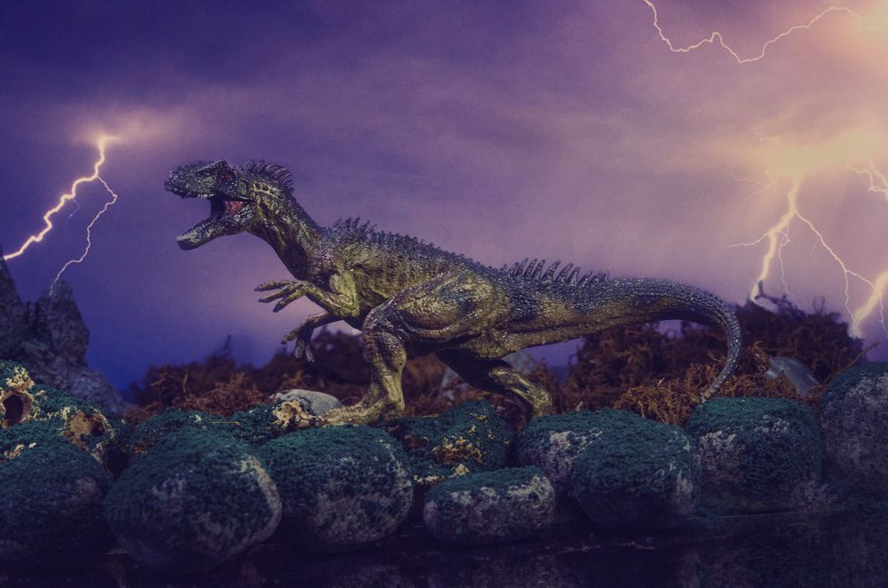 Photograph by PARTHA BHATTACHARYYA