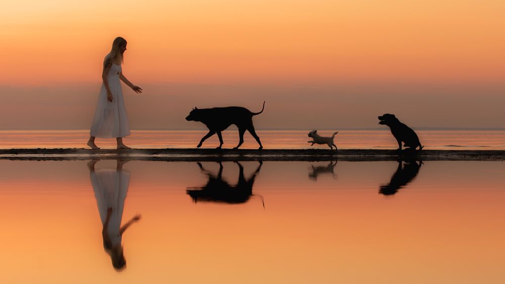 Photograph by Зубкова Юлия