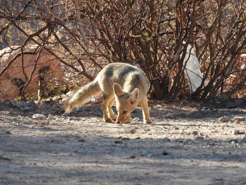 Photograph by Cristina Bosio Ferrer